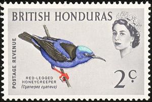 Stamp, Red-legged Honeycreeper (Cyanerpes cyaneus) , British Honduras,  , Birds, Animals (Fauna)