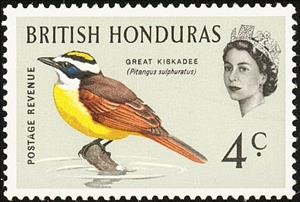 Stamp, Great Kiskadee (Pitangus sulphuratus), British Honduras,  , Birds