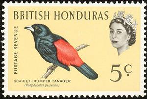 Stamp, Passerini's Tanager (Ramphocelus passerinii), British Honduras,  , Birds