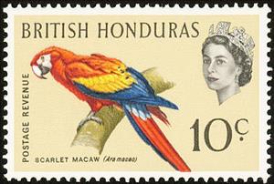 Stamp, Scarlet Macaw (Ara macao), British Honduras,  , Birds, Parrots, Animals (Fauna)