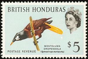 Stamp, Montezuma Oropendola (Psarocolius montezuma), British Honduras,  , Birds
