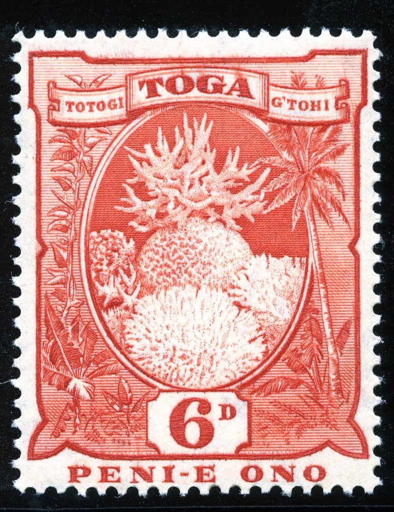 Coral Formations