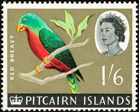 Henderson Lorikeet (Vini stepheni) 