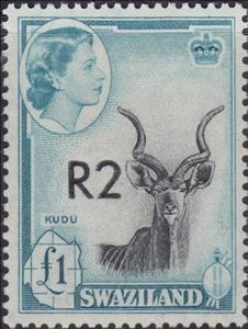 Stamp, Greater Kudu (Tragelaphus strepsiceros), Swaziland,  