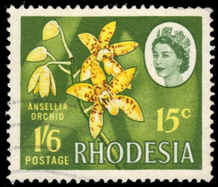 Type of 1966