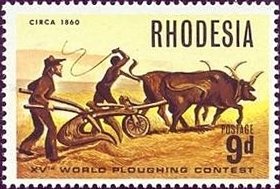 Ox Drawn Plow,1860