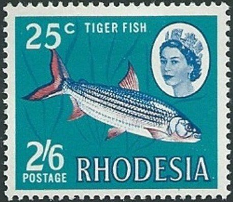 Tigerfish (Hydrocinus lineatus)
