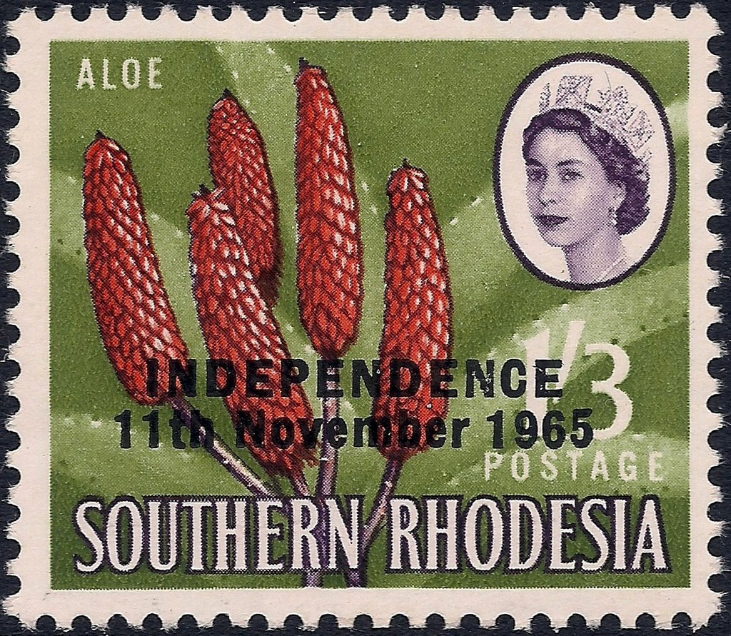 Aloe
