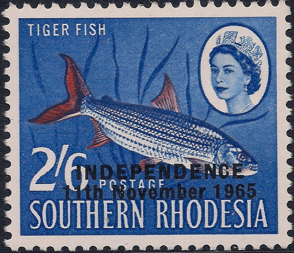 Tigerfish (Hydrocinus lineatus)