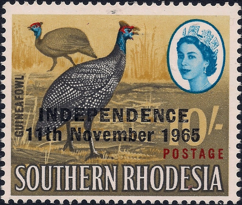 Helmeted Guineafowl (Numida meleagris)