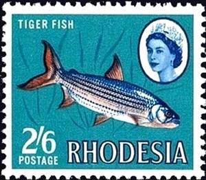 Stamp, Tigerfish (Hydrocinus lineatus), Rhodesia,  , Fishes