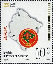 100 years of Scouting