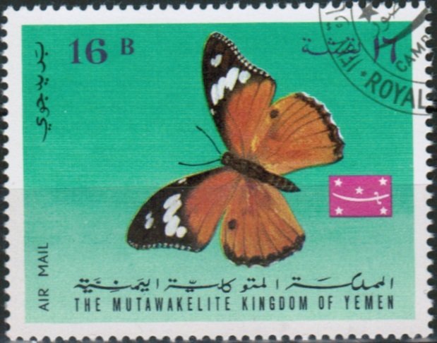 Danaid Eggfly (Hypolimnas misippus)