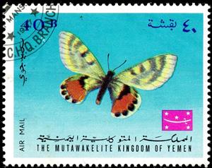 Stamp, Butterfly (Parnassius autocrator), Yemen, Kingdom,  , Insects, Butterflies, Animals (Fauna)