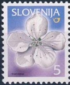 Fruits in Slovenia (Cherry Blossom)