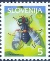 Fruits in Slovenia (European Cherry Fruit Fly)