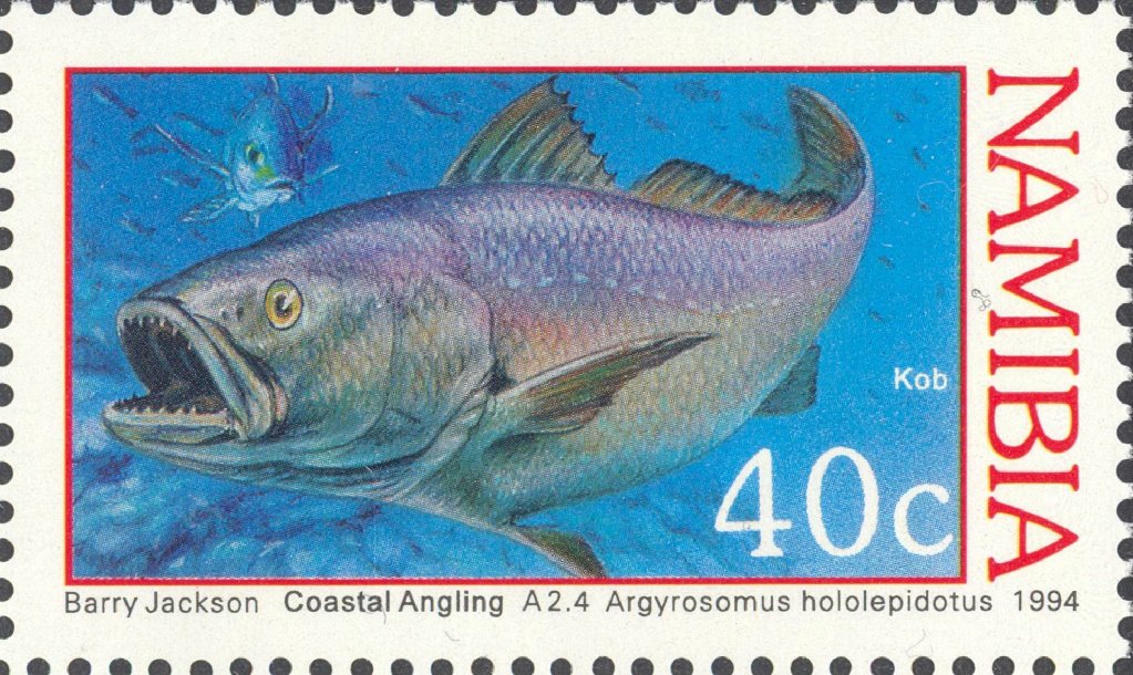Madagascar Kob (Argyrosomus hololepidotus)