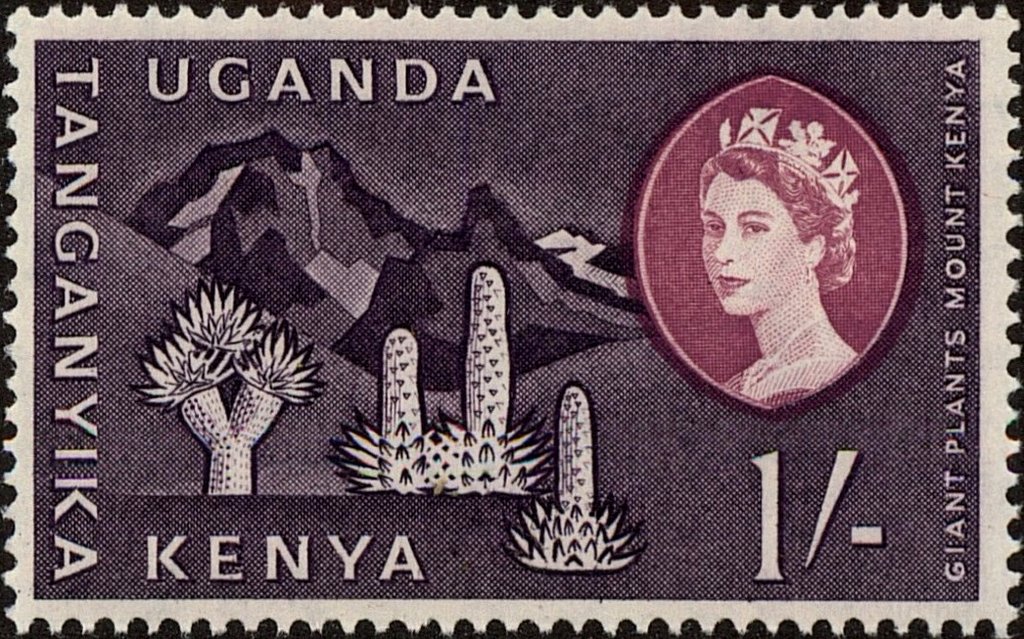 Mt. Kenya and giant plants