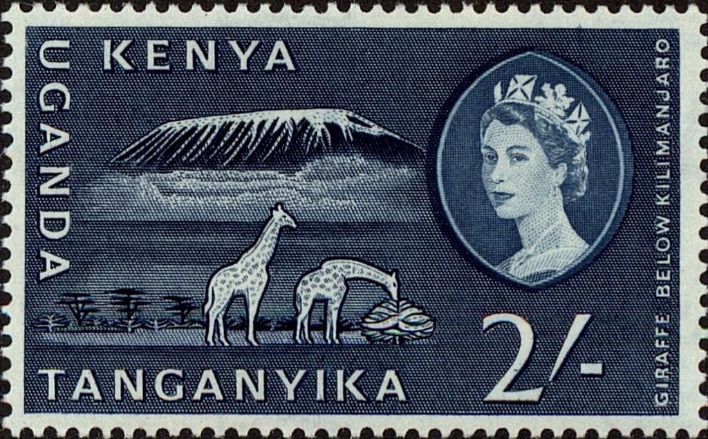 Mt. Kilimanjaro and Giraffe (Giraffa camelopardalis)