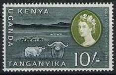 Ngorongoro Crater and African Buffalo (Syncerus caffer)