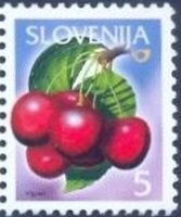 Fruits in Slovenia (Vigred)