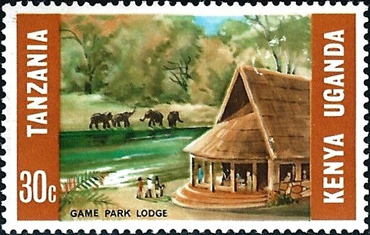 Game Park Lodge, African Elephant (Loxodonta africana) 