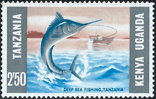 Deep Sea Fishing Tanzania, Striped Marlin (Makaira audax) 