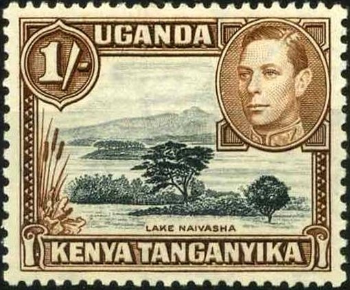 Lake Naivasha