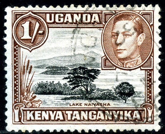 Lake Naivasha