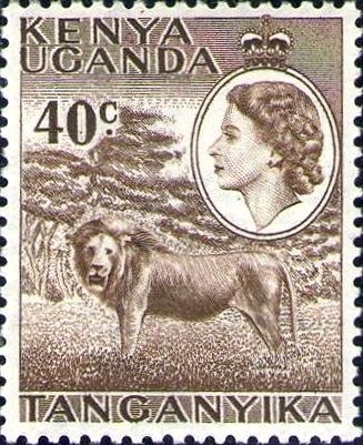 Lion (Panthera leo)
