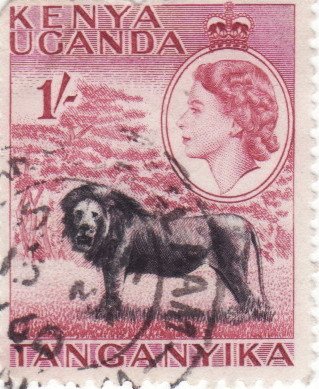 Lion (Panthera leo) and Queen Elizabeth II