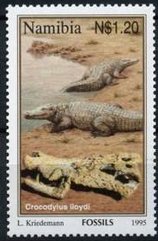 Crocodylus lloydi