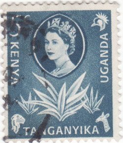 Sisal-agave (Agave sisalana) & Queen Elizabeth II