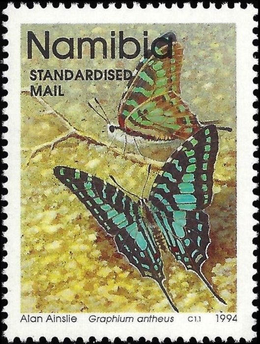 Larger Striped Swordtail (Graphium antheus)
