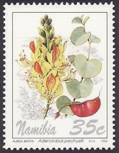 Adenolobus pechuelii