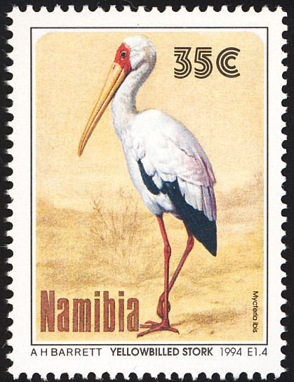 Yellow-billed Stork (Mycteria ibis)