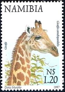 Stamp, Giraffe (Giraffa camelopardalis), Namibia,  , Giraffes