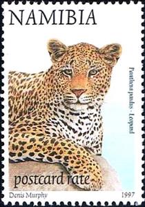Stamp, Leopard (Panthera pardus), Namibia,  , Leopards