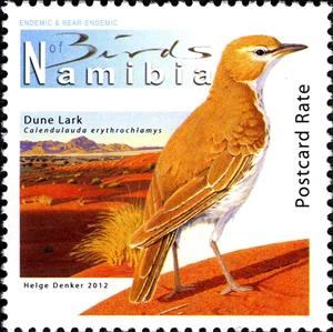 Stamp, Dune Lark (Calendulauda erythrochlamys) , Namibia,  