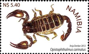 Stamp, Robust Burrowing Scorpion (Opistophthalmus carinatus), Namibia,  , Scorpions