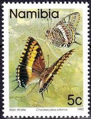 Koppie Charaxes (Charaxes jasius saturnus)