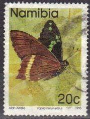 Narrowly Green-banded Swallowtail  (Papilio nireus lyaeus)