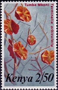 Stamp, Terminalia orbicularis, Kenya,  , Flowers, Plants (Flora)
