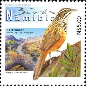 Stamp, Rockrunner (Achaetops pycnopygius), Namibia,  