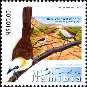 Stamp, Bare-cheeked Babbler (Turdoides gymnogenys), Namibia,  