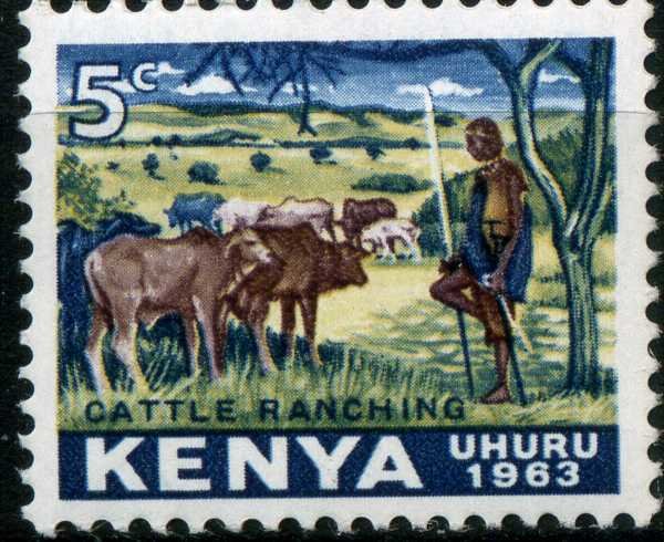 Cattle Breeding (Bos primigenius taurus)