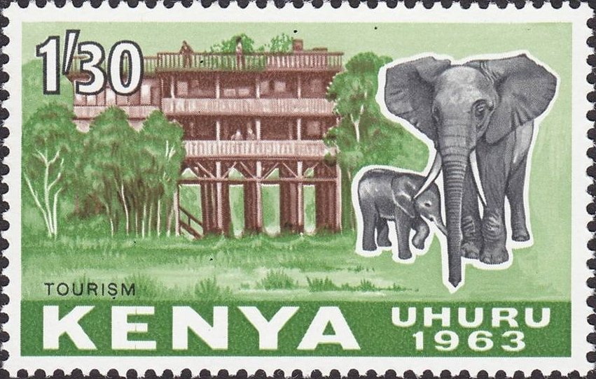 African Elephant (Loxodonta africana) in front of a Hotel