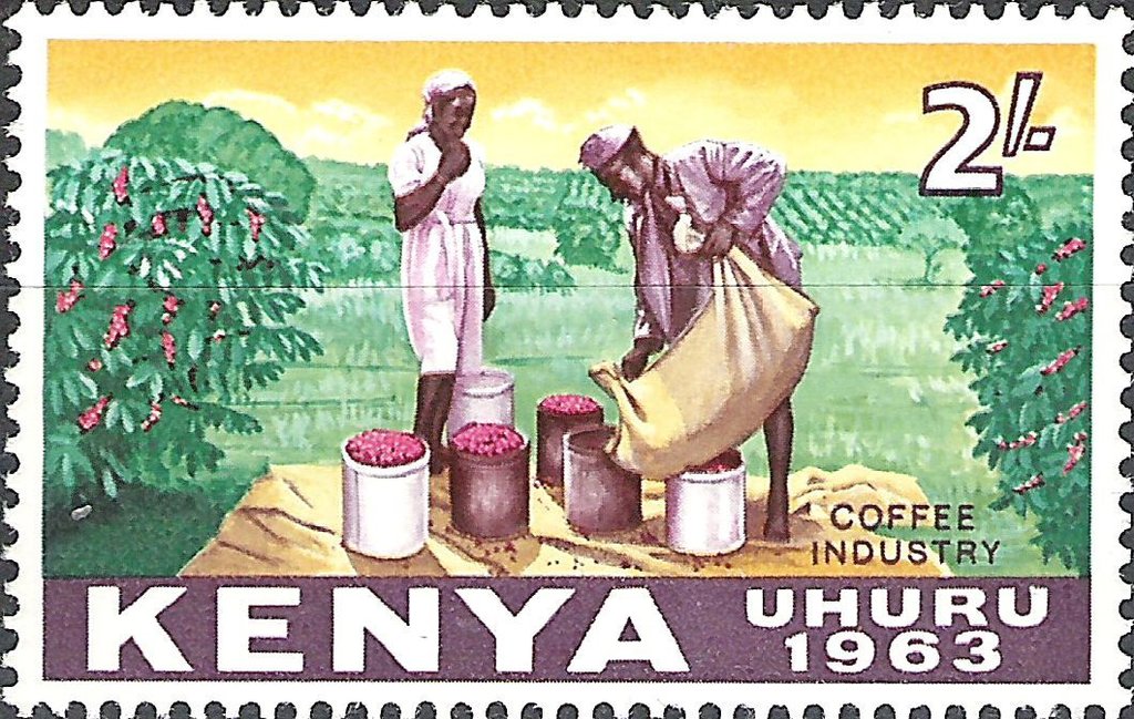 Coffee Plantation