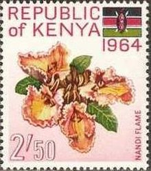 Stamp, Spathodea campanulata, Kenya,  , Flowers, Plants (Flora)