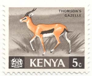 Thomson's Gazelle (Eudorcas thomsoni)